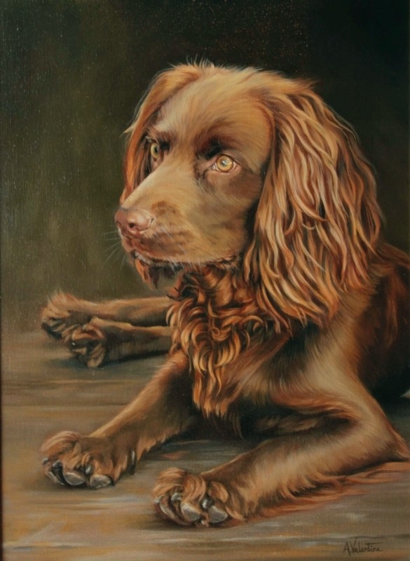 Pet portrait of a dog in Oils
