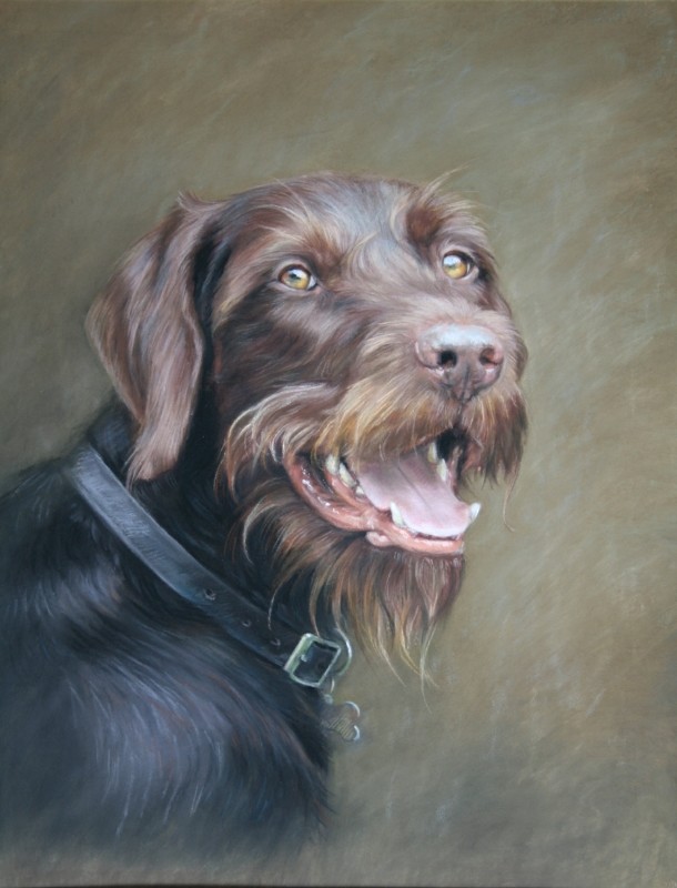 Pet portrait of a dog in Pastels by Annabelle Valentine